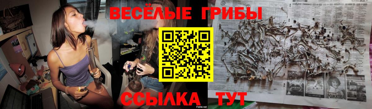 Галлюциногенные грибы Magic Shrooms Сарапул